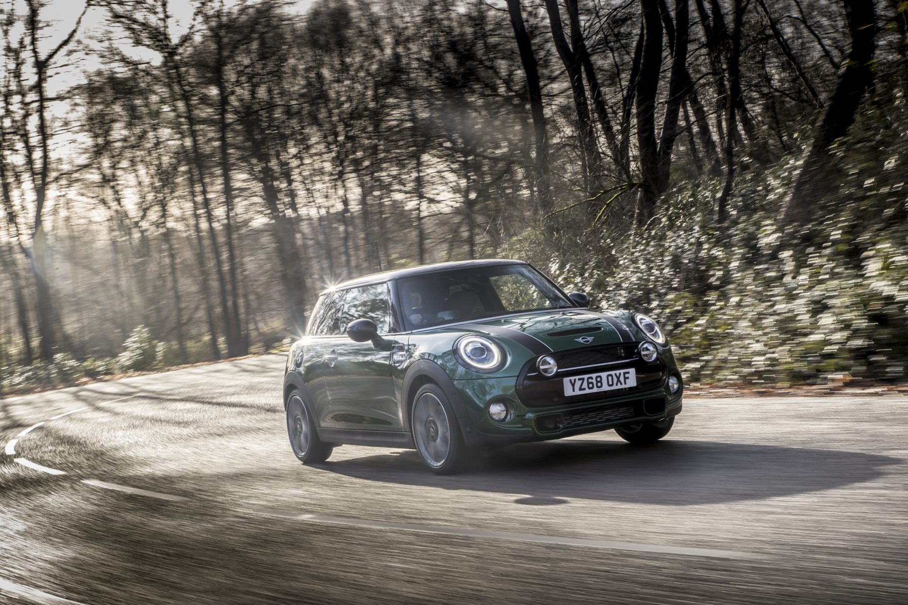 Green Mini driving through the woods